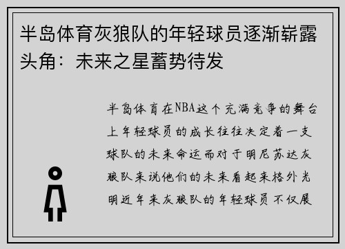 半岛体育灰狼队的年轻球员逐渐崭露头角：未来之星蓄势待发