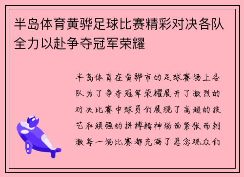 半岛体育黄骅足球比赛精彩对决各队全力以赴争夺冠军荣耀