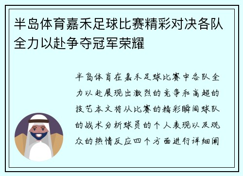 半岛体育嘉禾足球比赛精彩对决各队全力以赴争夺冠军荣耀