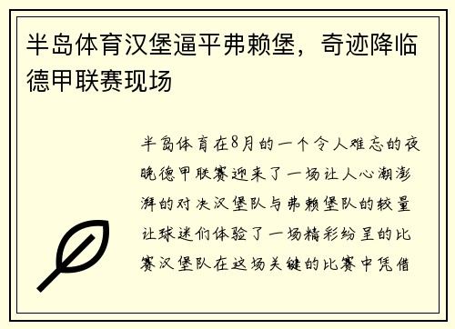 半岛体育汉堡逼平弗赖堡，奇迹降临德甲联赛现场