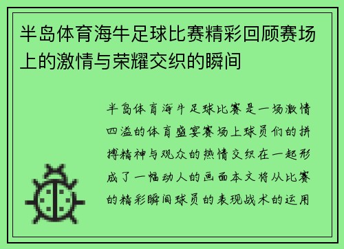 半岛体育海牛足球比赛精彩回顾赛场上的激情与荣耀交织的瞬间