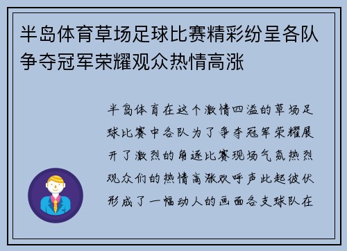半岛体育草场足球比赛精彩纷呈各队争夺冠军荣耀观众热情高涨